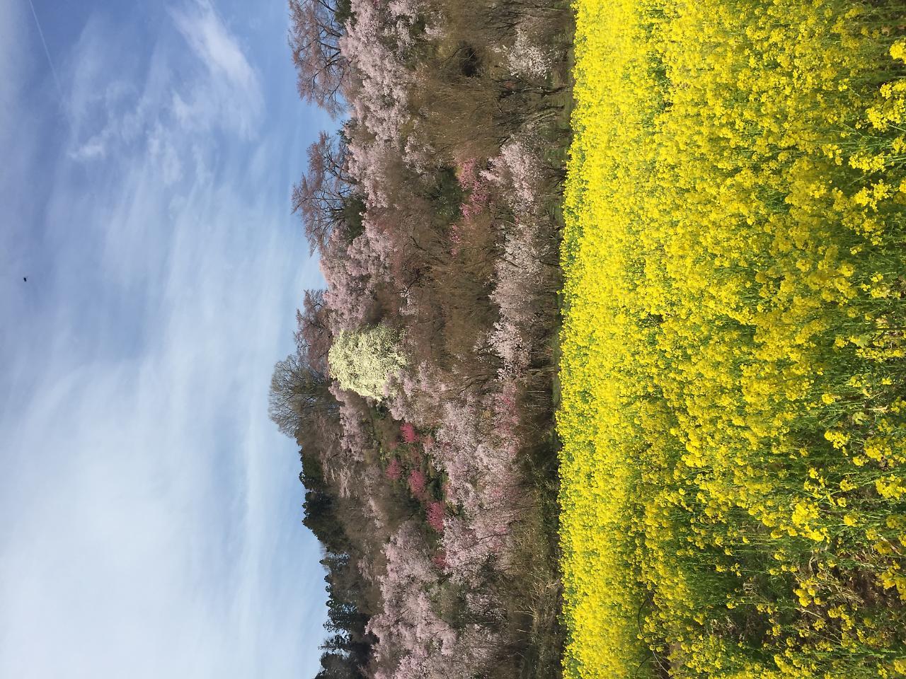 Hotel Sunroute Fukushima Fukushima  Exterior photo